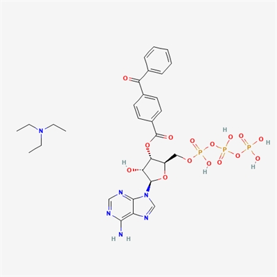 BzATP triethylammonium salt