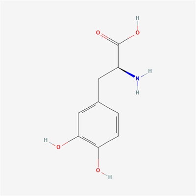 Levodopa, sj(Escherichia coli/enzymatic method,85g/L)65%